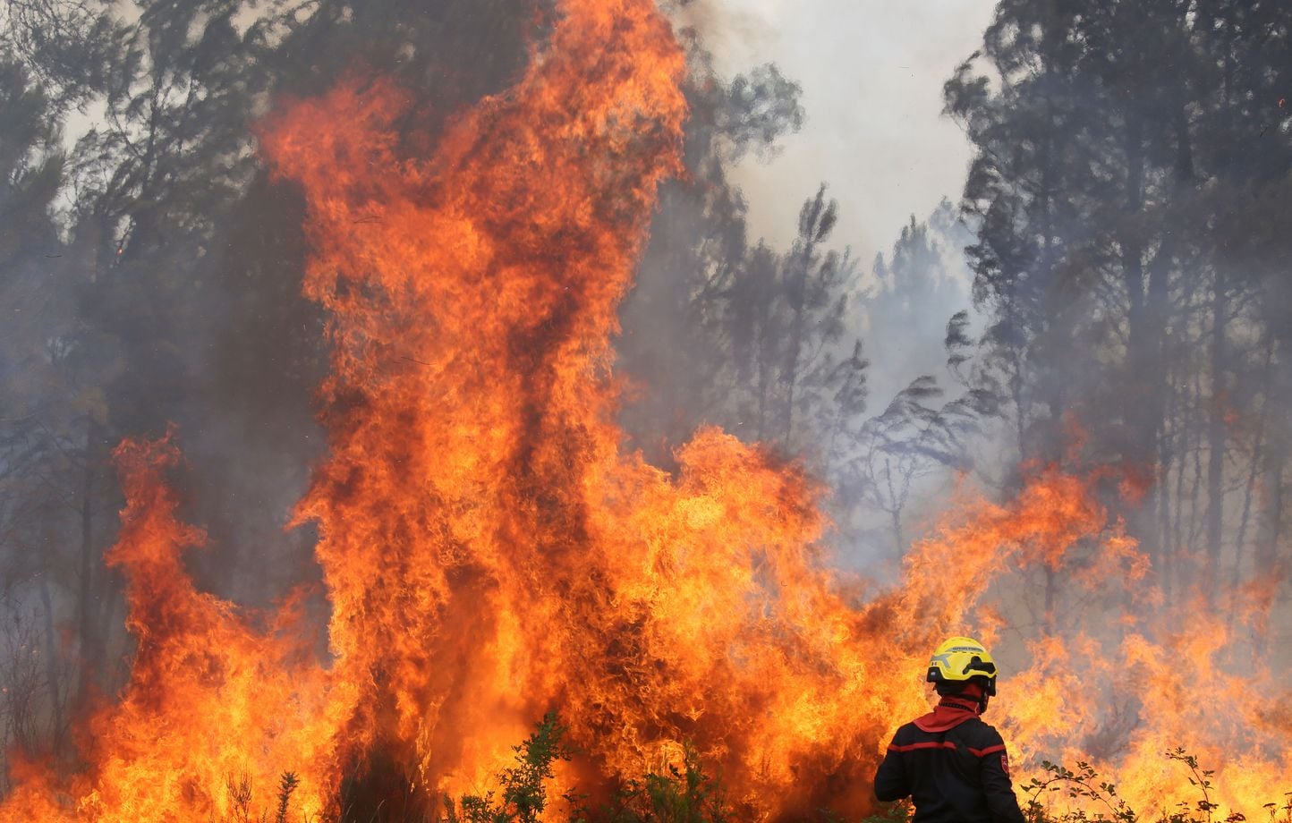 ¿Por qué el incendio actual es diferente de todos los que ya ha experimentado Francia? ¿Por qué el incendio actual es diferente de todos los que ya ha experimentado Francia?